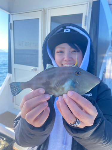 カワハギの釣果