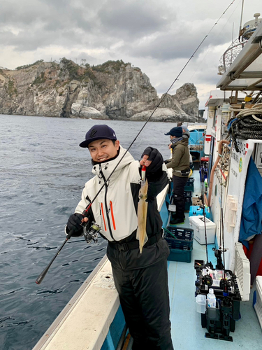 ヤリイカの釣果