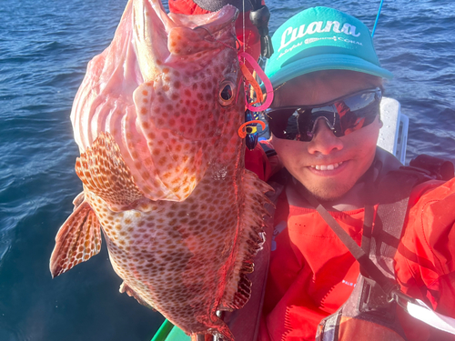 オオモンハタの釣果