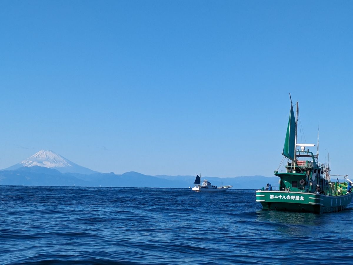 しおタンさんの釣果 2枚目の画像