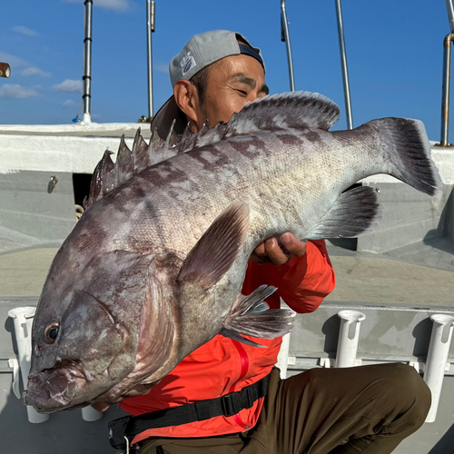 マハタの釣果