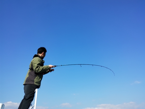 ヤズの釣果