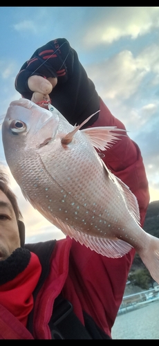 タイの釣果