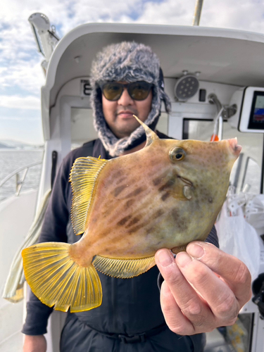 カワハギの釣果