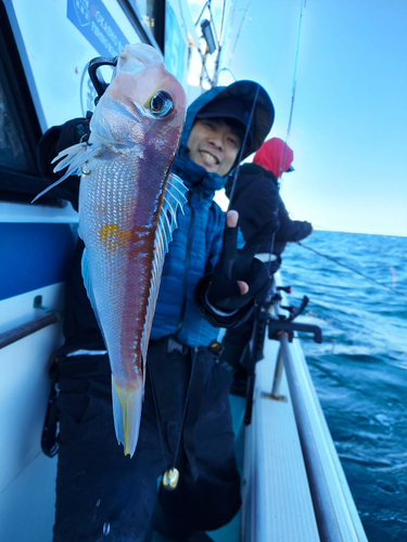 アマダイの釣果