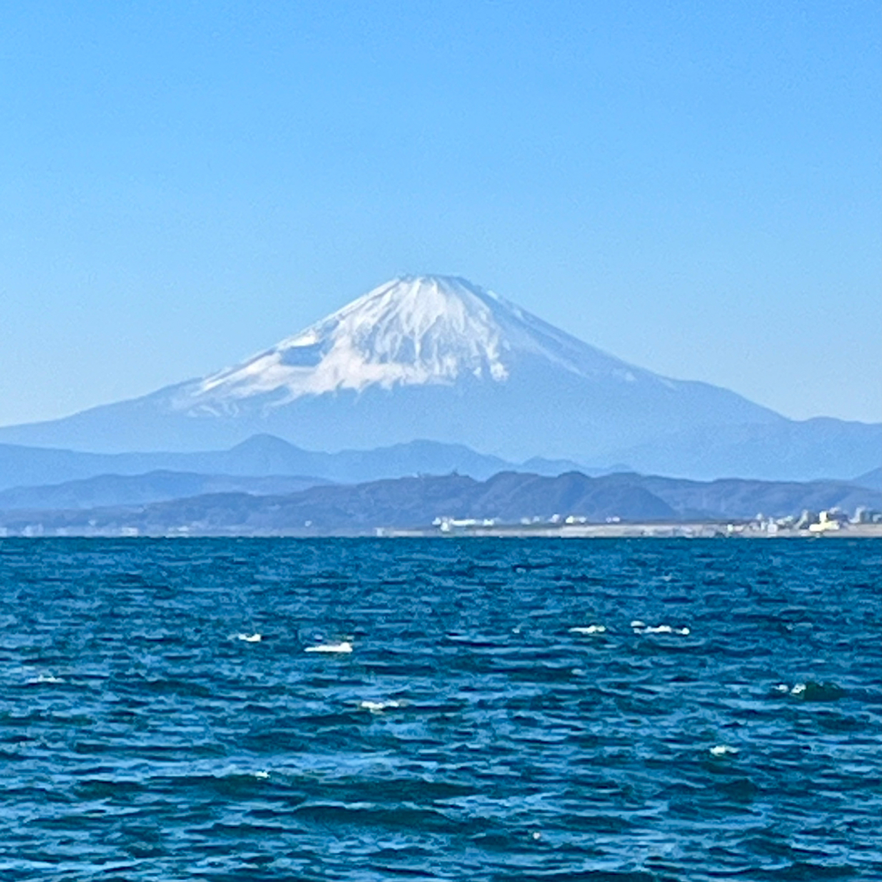 タカノハダイ