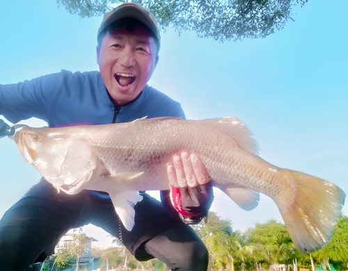 バラマンディの釣果