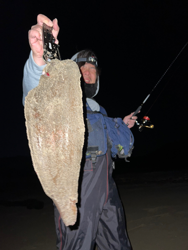 ウシノシタの釣果