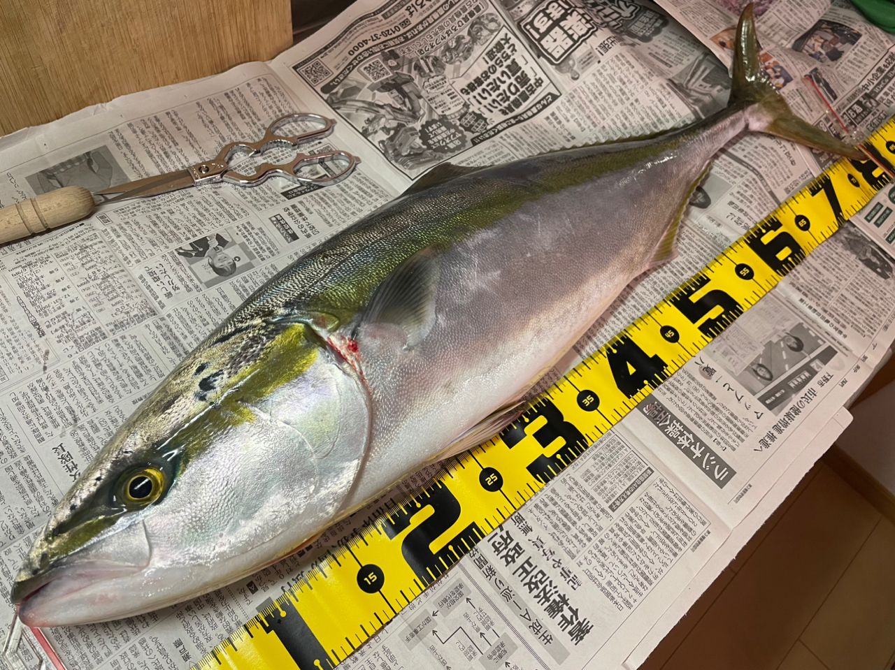 SHIMANO 19グラップラー タイプC S77Mの最安値・インプレ・釣果