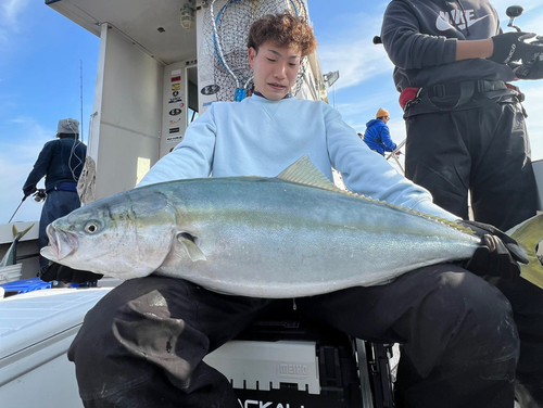 ブリの釣果