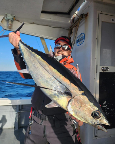 ビンチョウマグロの釣果