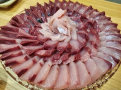 ワラサの釣果