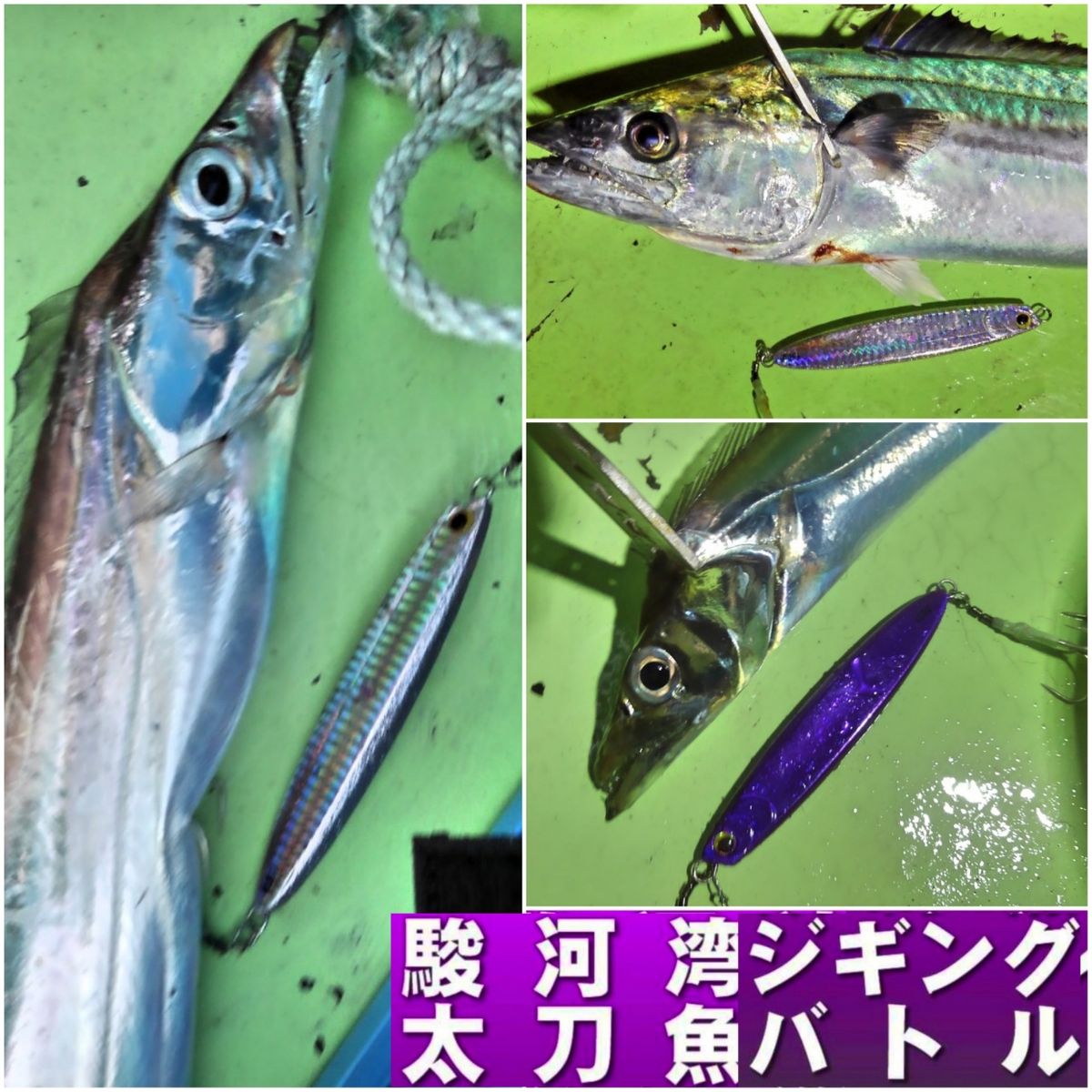 中村友和🌈【ナカムゥ🐠🎣】さんの釣果 2枚目の画像