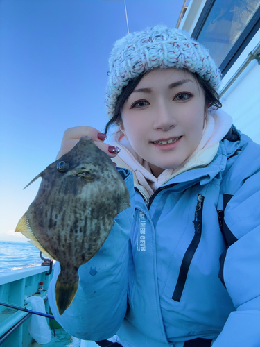 カワハギの釣果