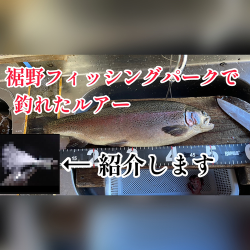 トラウトの釣果