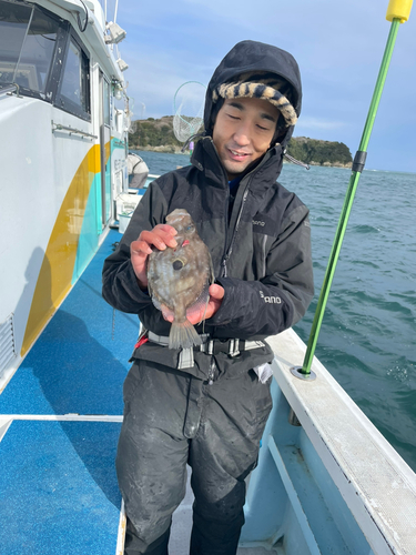 マトウダイの釣果