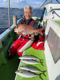 マダイの釣果