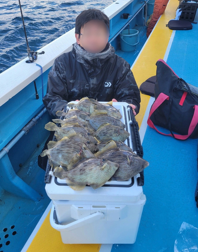 カワハギの釣果