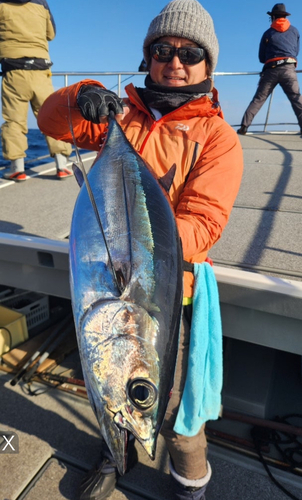 ビンチョウマグロの釣果