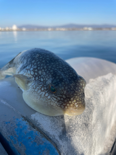 釣果