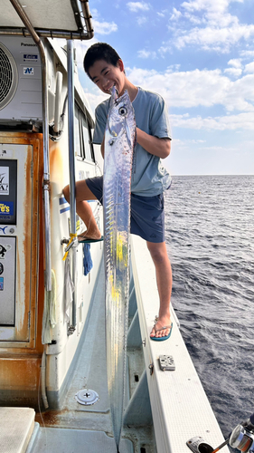 タチウオの釣果