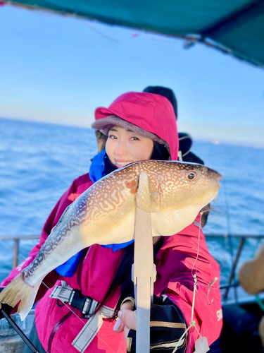 ショウサイフグの釣果