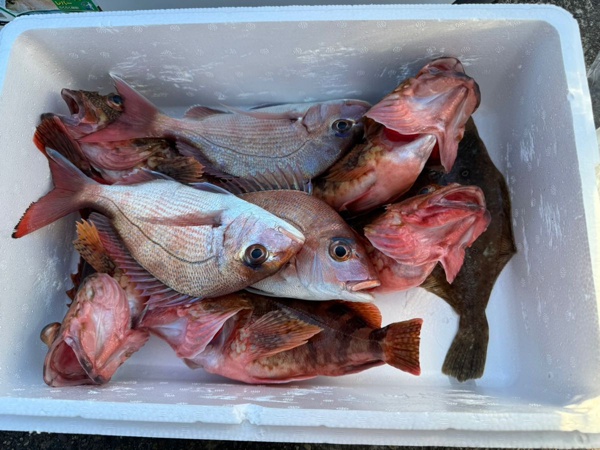 つよしの釣り浪漫さんの釣果 2枚目の画像