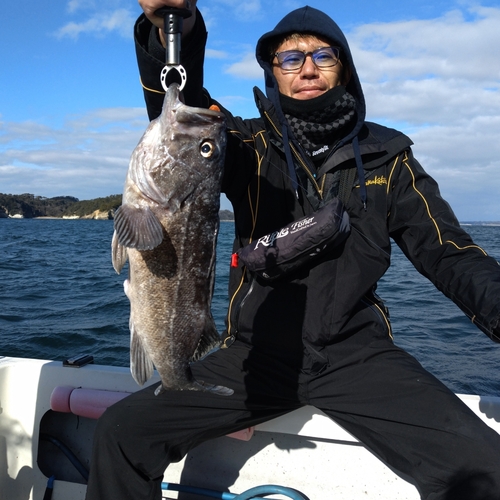 クロソイの釣果