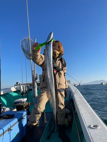 タチウオの釣果