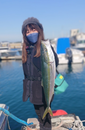 ヤズの釣果