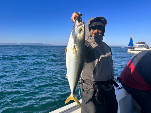 メジロの釣果