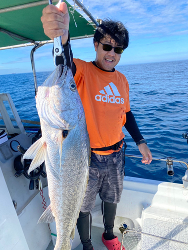 オオニベの釣果