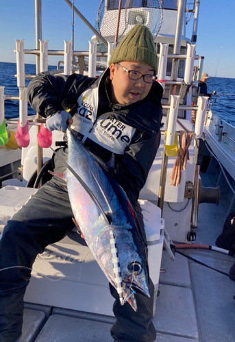 ビンチョウマグロの釣果