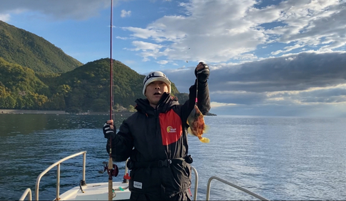 カワハギの釣果