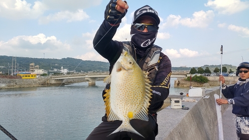 釣果