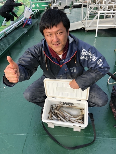 シロギスの釣果