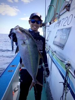 カンパチの釣果