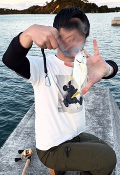 メッキの釣果