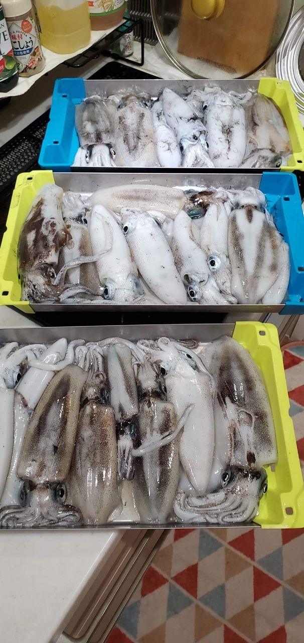 なぎなたさんの釣果 2枚目の画像