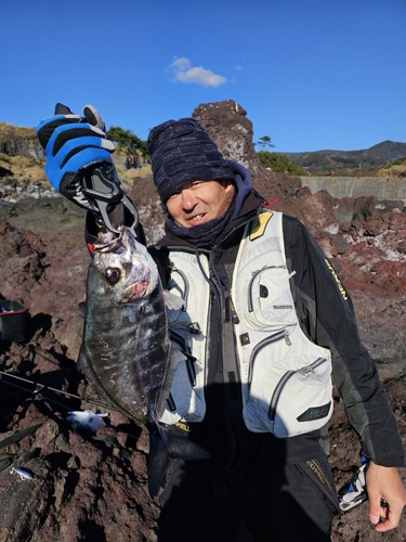 ギンガメアジの釣果