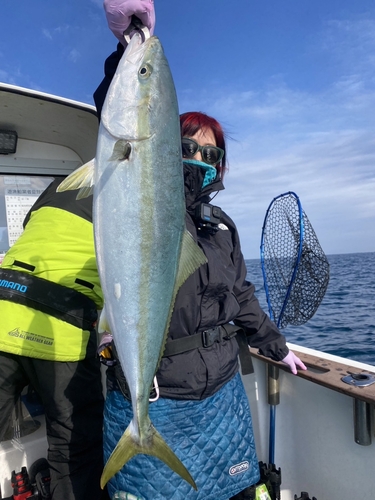 ヤズの釣果