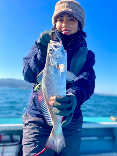 クログチの釣果