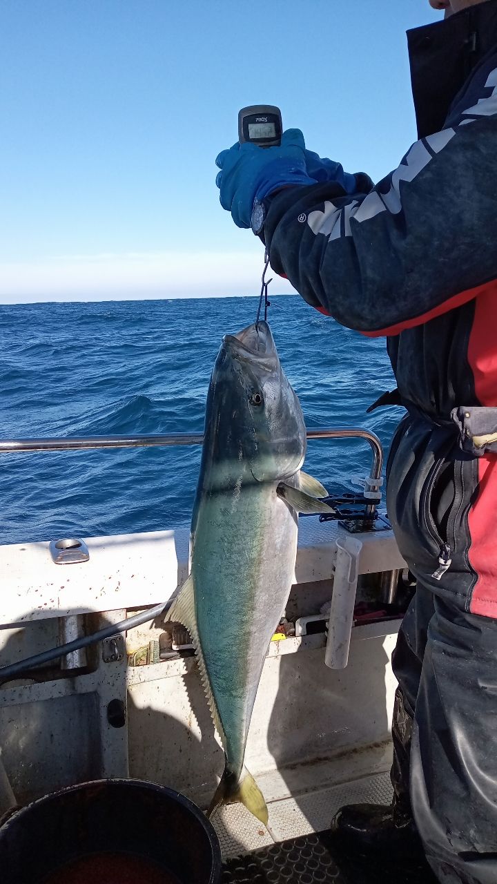 子供の釣り友さんの釣果 2枚目の画像