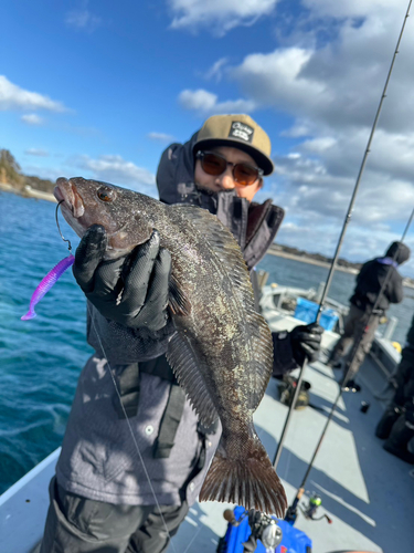 アイナメの釣果