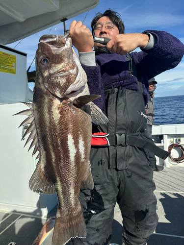 ワラサの釣果