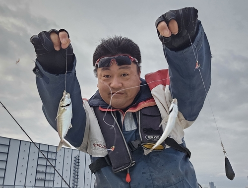 アジの釣果