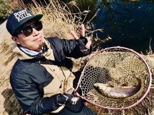 ロックトラウトの釣果