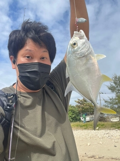 カタクチイワシの釣果