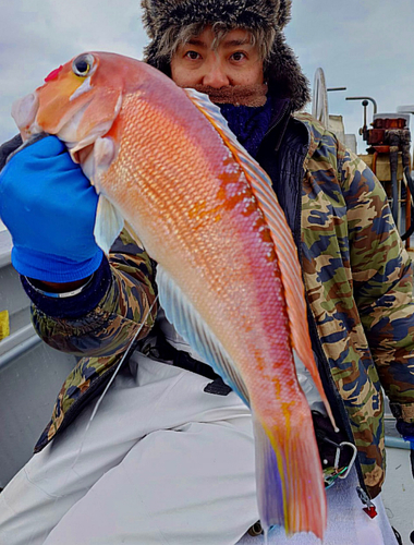 アカアマダイの釣果