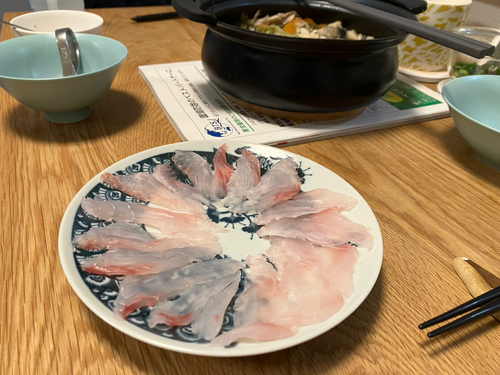 メジナの釣果